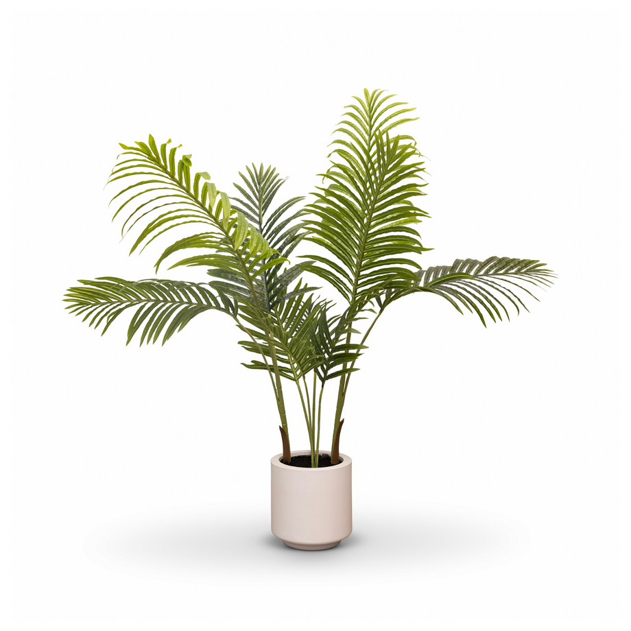 areca palm australia Areca Palm Tree 110cm – Karter
