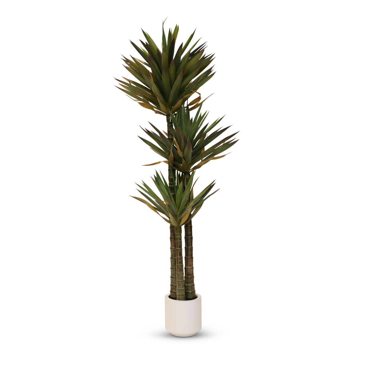 Yucca Tree 170cm – Karter