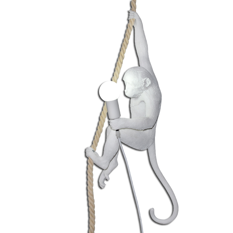 Monkey light pendant deals